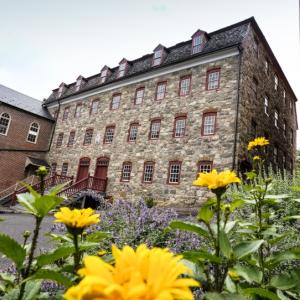View of the south facade of the Brethren House. Yellow flowers in the foreground.